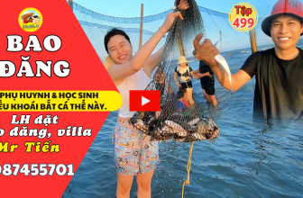bao đăng bắt cá
