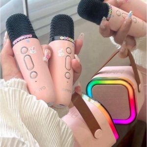 Loa Xách Tay Karaoke