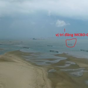 đăng MCBO-02-2
