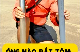 So Sánh Ống Hút Tôm Tít Inox Với Ống Nhựa Không Tay Cầm