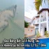 Bắt Tôm Tít Và Ở Villa Sát Biển Vũng Tàu Chỉ 3 Củ Đêm