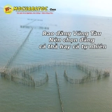 Bao Đăng Vũng Tàu Nên Chọn Đăng Cá Thả Hay Cá Tự Nhiên.( DV Đã Bị Cấm)