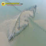 Du Lịch Vũng Tàu.1000 Du Khách Đổ Về Bãi Biển Đồi Nhái Để Bao Đăng.( DV Đã Bị Cấm )