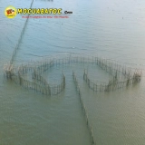 Thuê Bao Đăng Vũng Tàu: 5 Điều Cần Lưu Ý Trước Khi Đặt Chỗ ( DV Bao Đăng  Đã Đóng  Cửa)